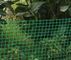 FenceNetting verde/prova animal da rede, anti malha quadrada uv do Hdpe